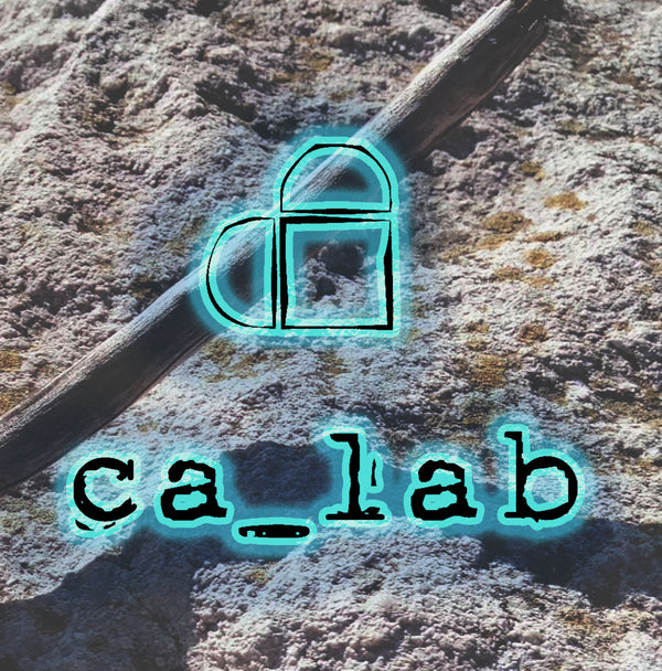 ca_lab